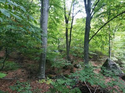 Прикрепленное изображение: 009.jpg